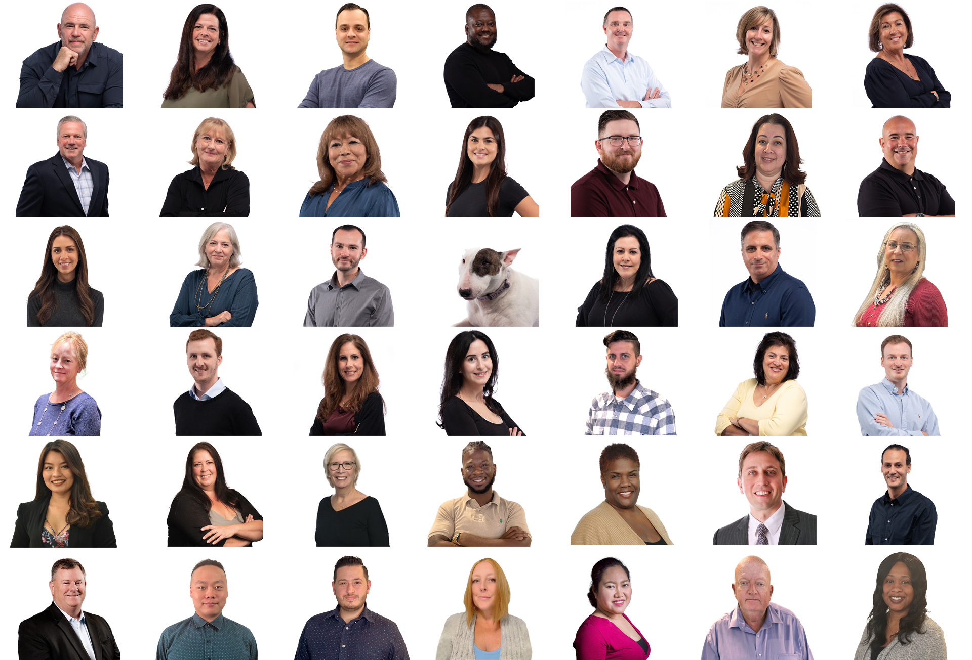 VFG Team Collage