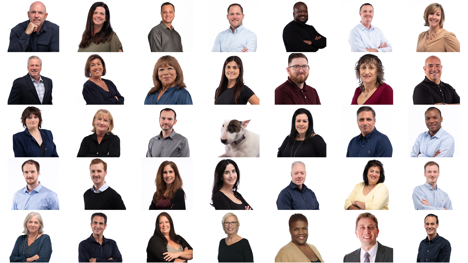 VFG Team Collage